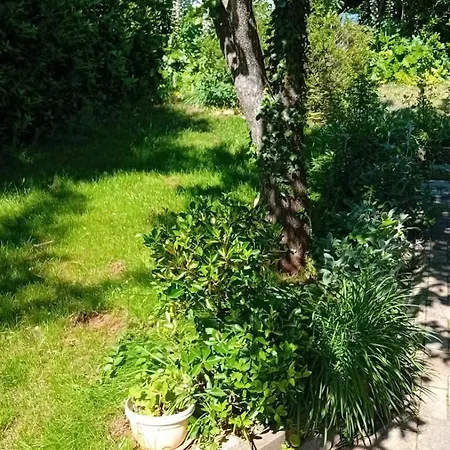 With Parking Space Premantura, Medulin - 24532